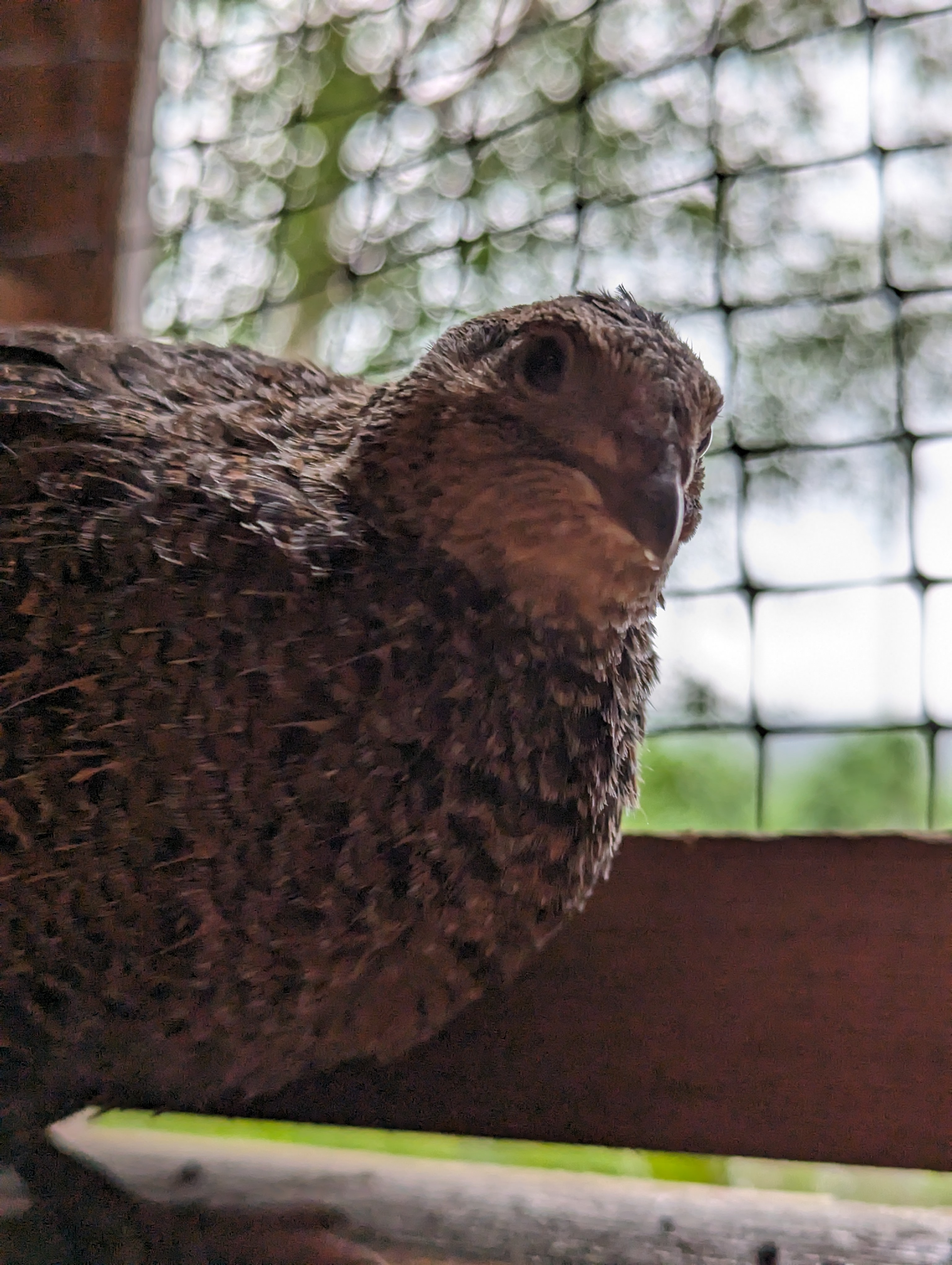 PXL_20230620_181123993