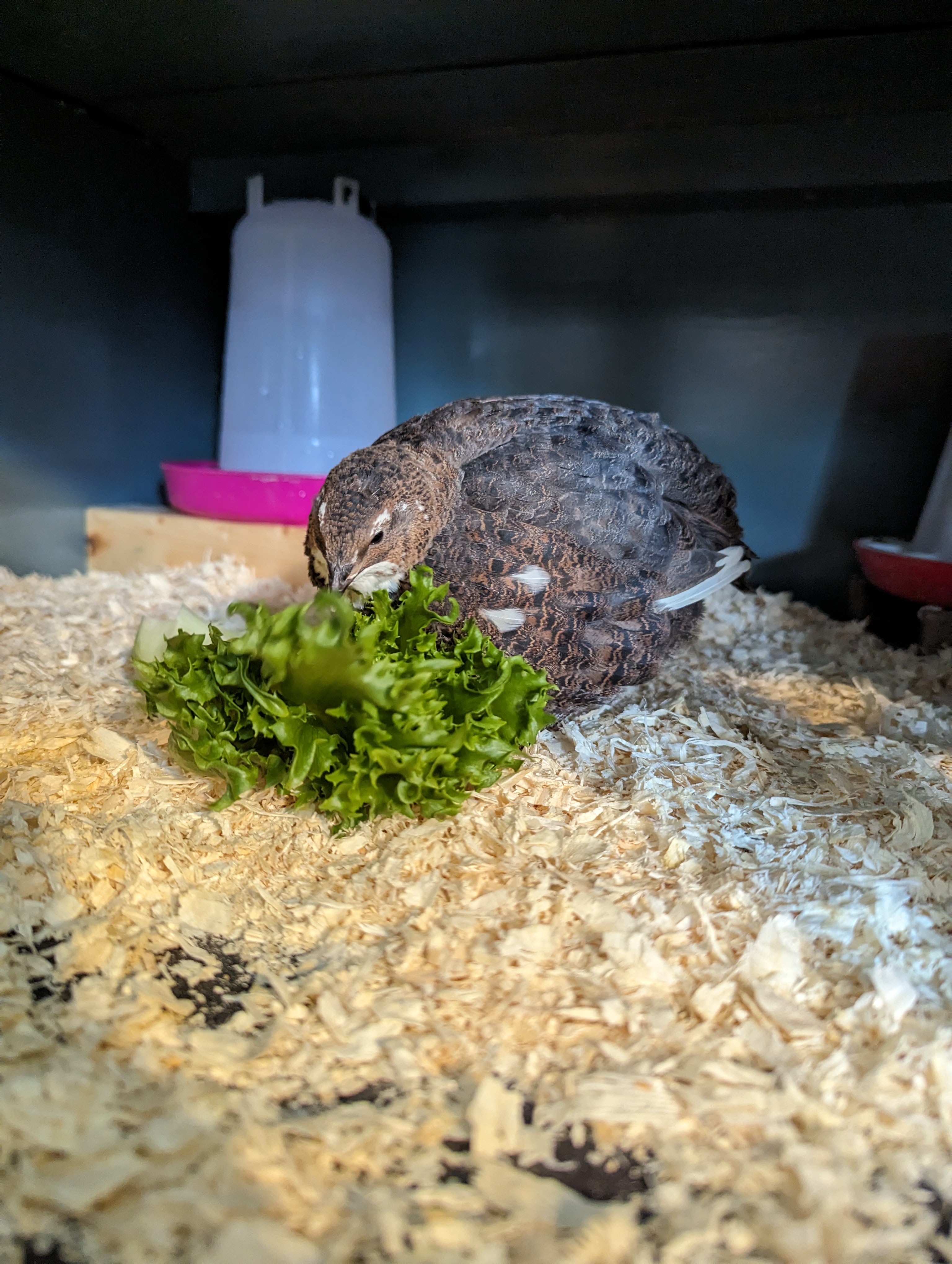 PXL_20230623_162001532