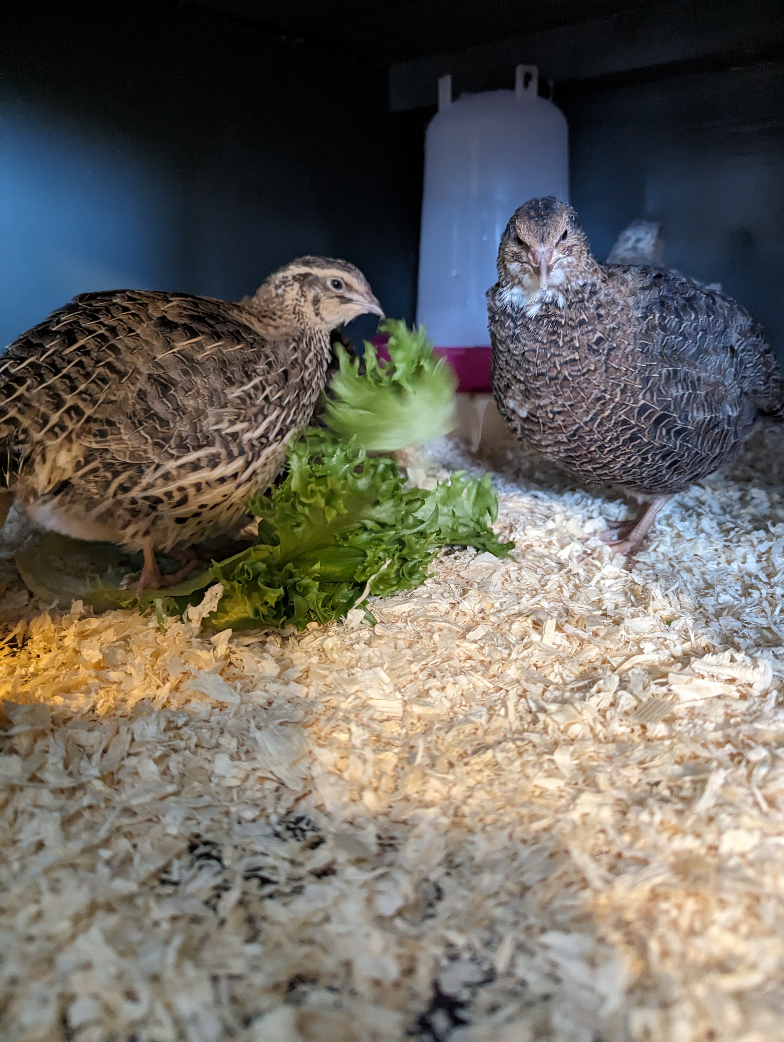 PXL_20230623_162103888