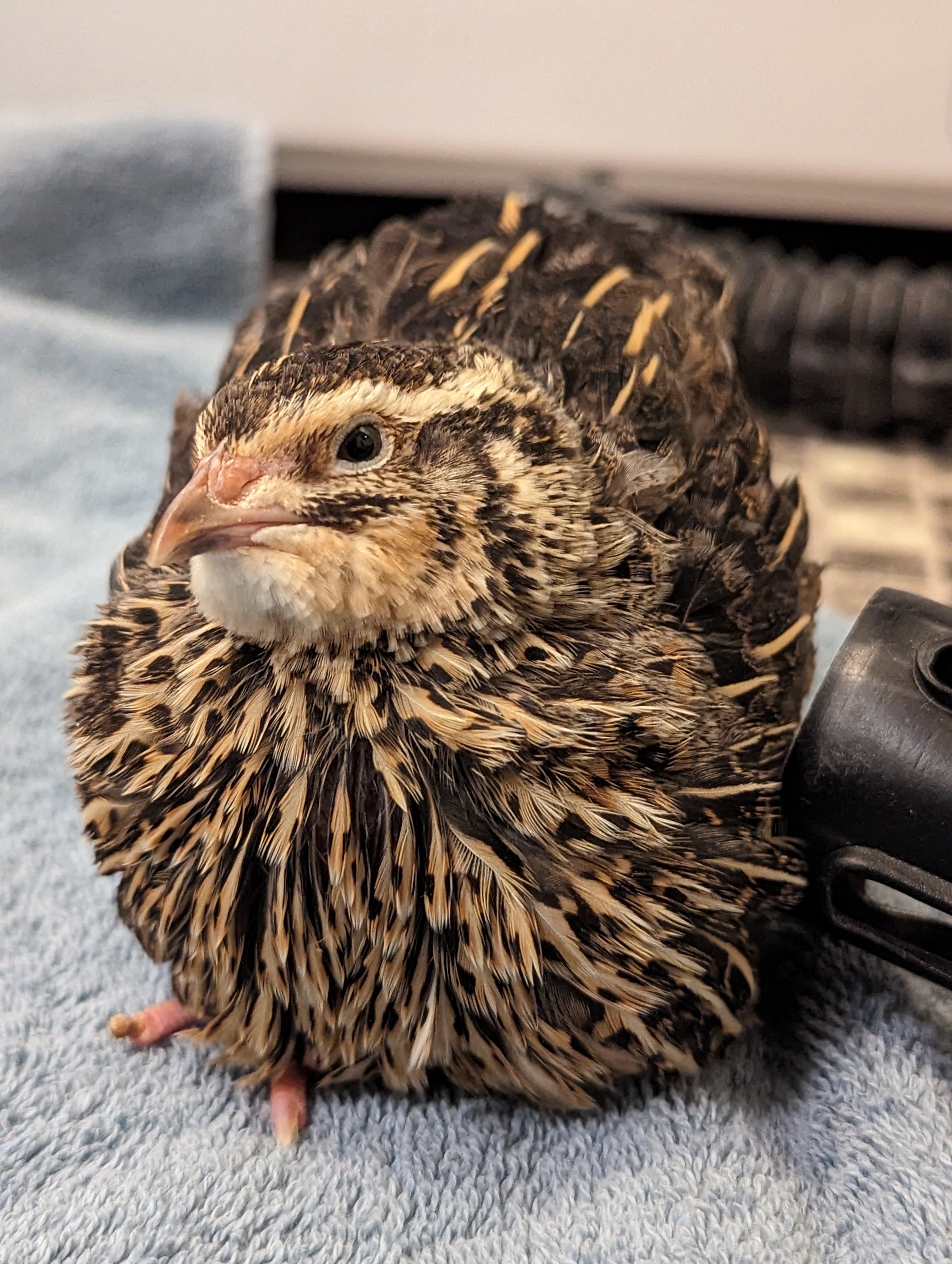 PXL_20231107_080603549.PORTRAIT.ORIGINAL