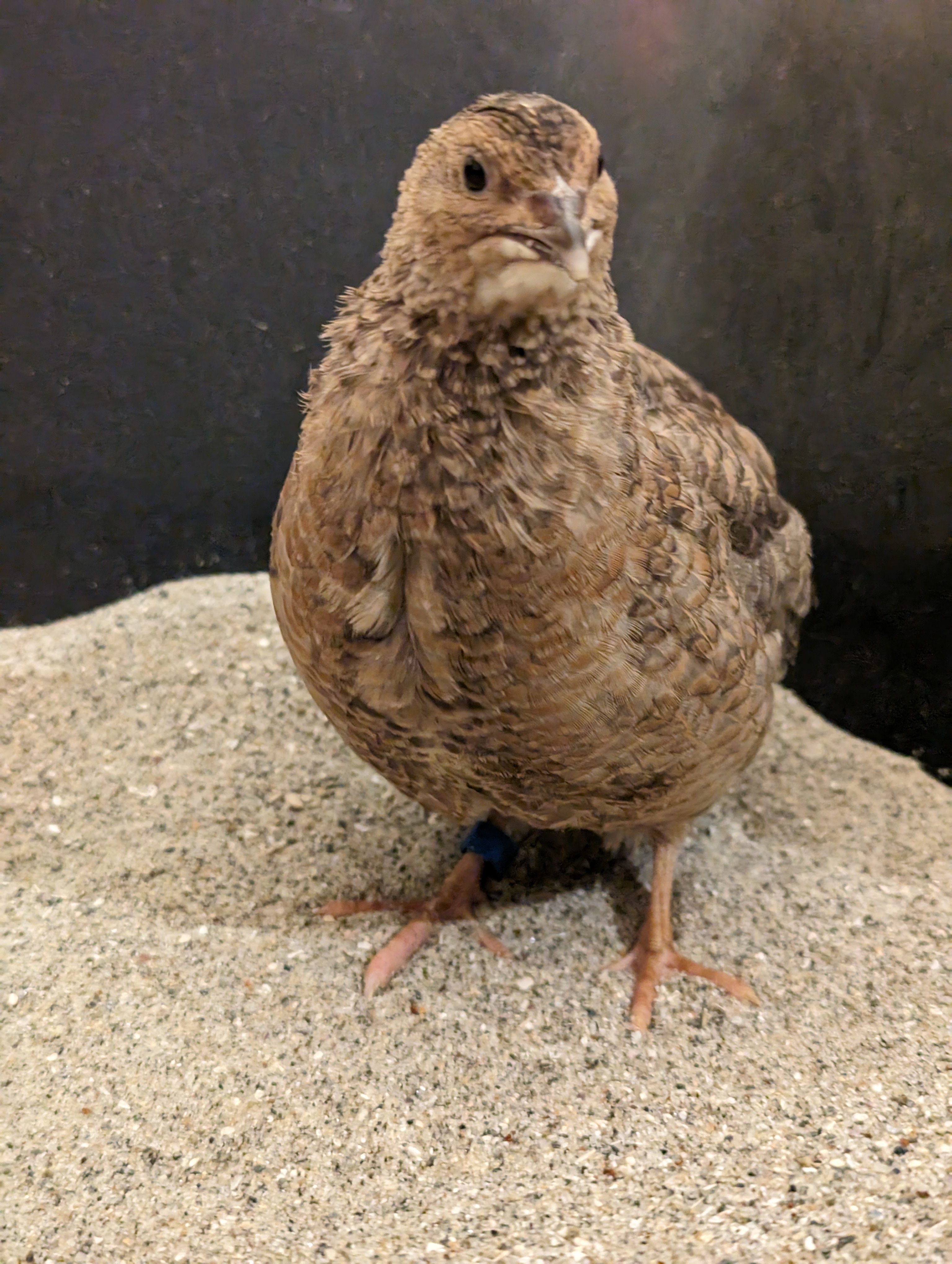 PXL_20231110_175545930